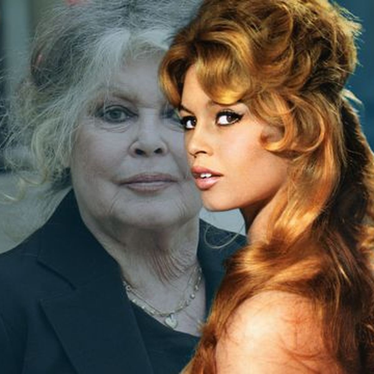 Brigitte Bardot Wie alt ist die französische Filmlegende? Sieu Thi