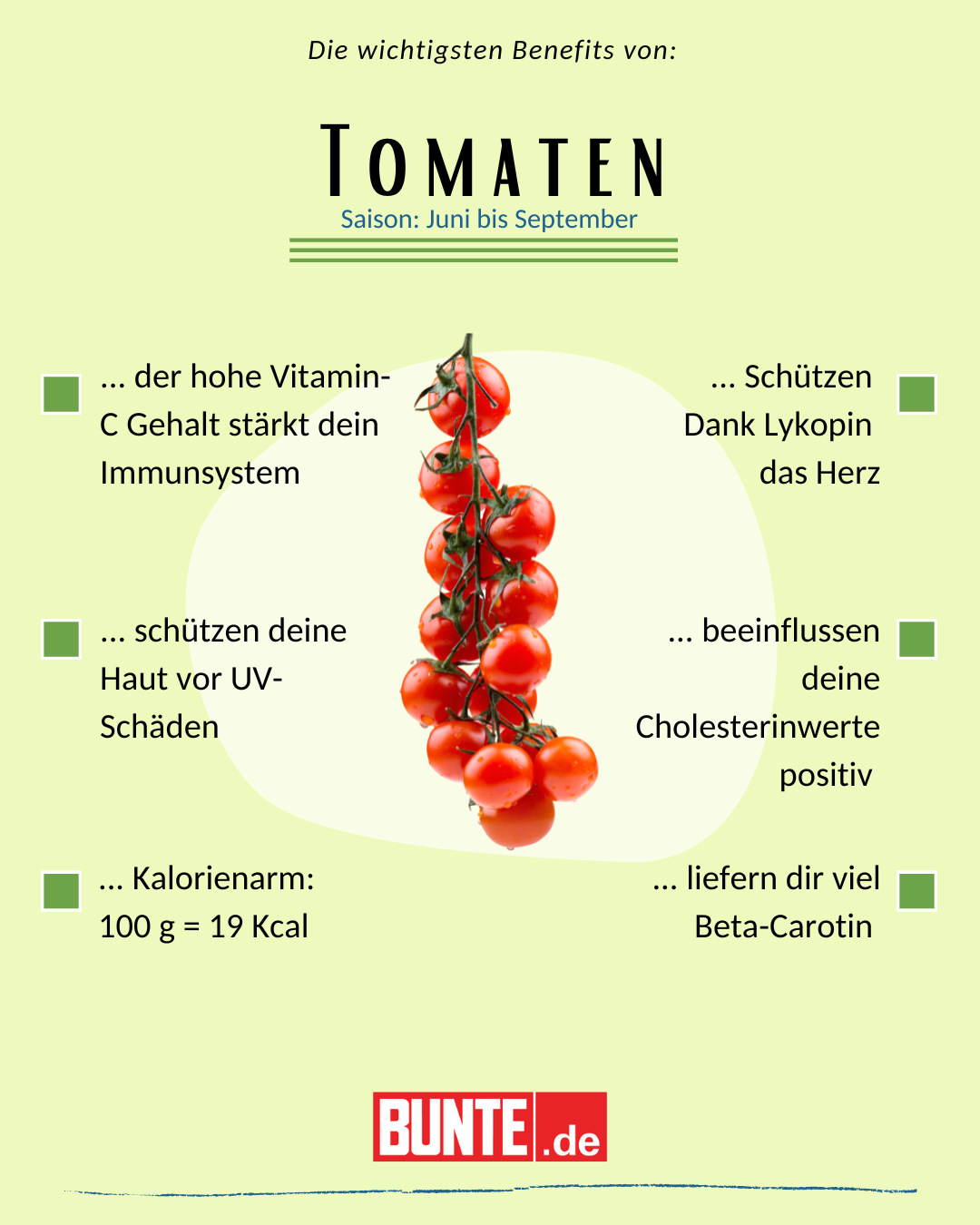 Warenkunde Tomaten