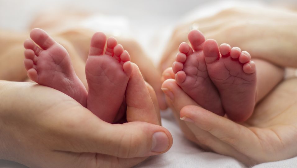 Zwillingsbabyfüsschen und Elternhände