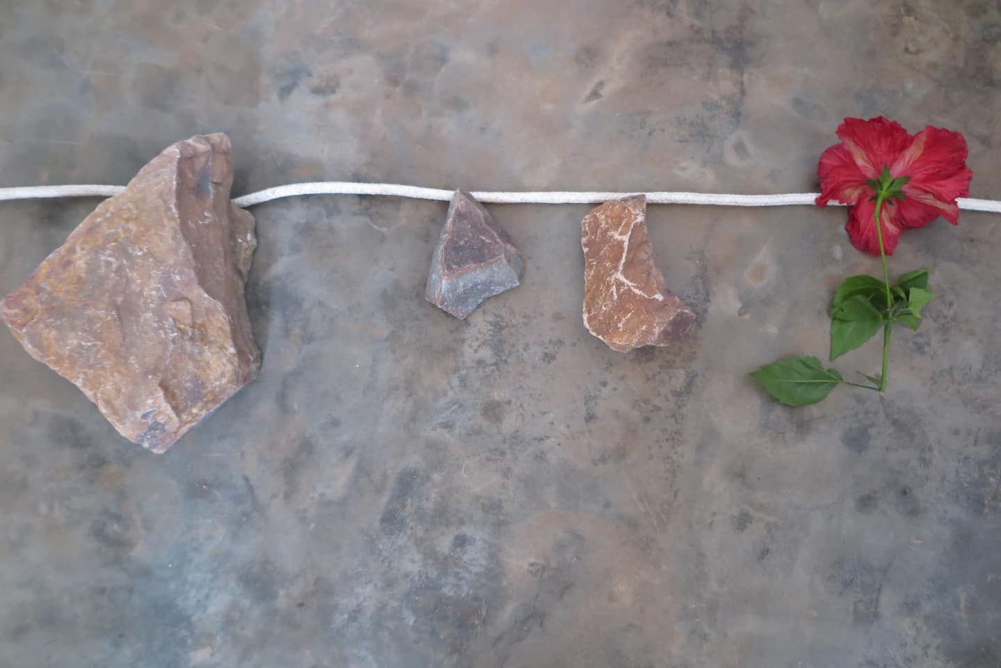 Ein Detail mit dem großen Stein, der den Genozid von 1994 symbolisiert, und einer Blüte, die dessen Ende markiert. 