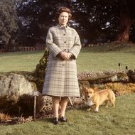 Prinz William - Die Corgis der Queen „werden schrecklich verwöhnt“ 
