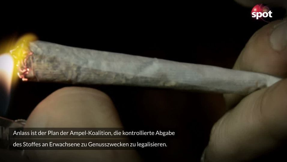 Deutsche Bauern machen sich fit für Cannabis-Anbau