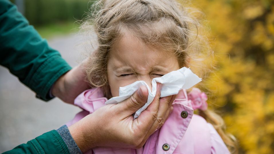 Grippewelle steht bevor! Erste Schulen in Bayern geschlossen