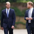 Prinz William und Prinz Harry, Kommentar