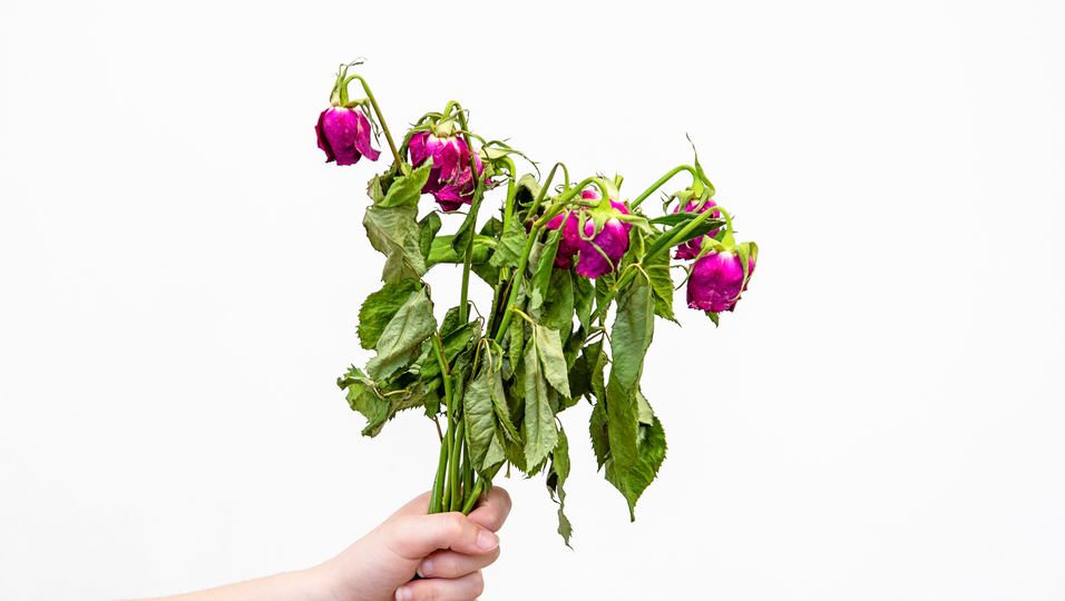 Valentinstag: Das kannst du mit deinen alten Blumen machen