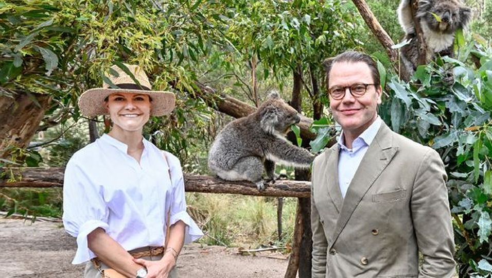Mit Daniel auf Australienreise – doch von Koalas hier hält er sich lieber fern